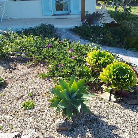 Lispusada Agriturismo Adults Only Biancareddu 外观 照片