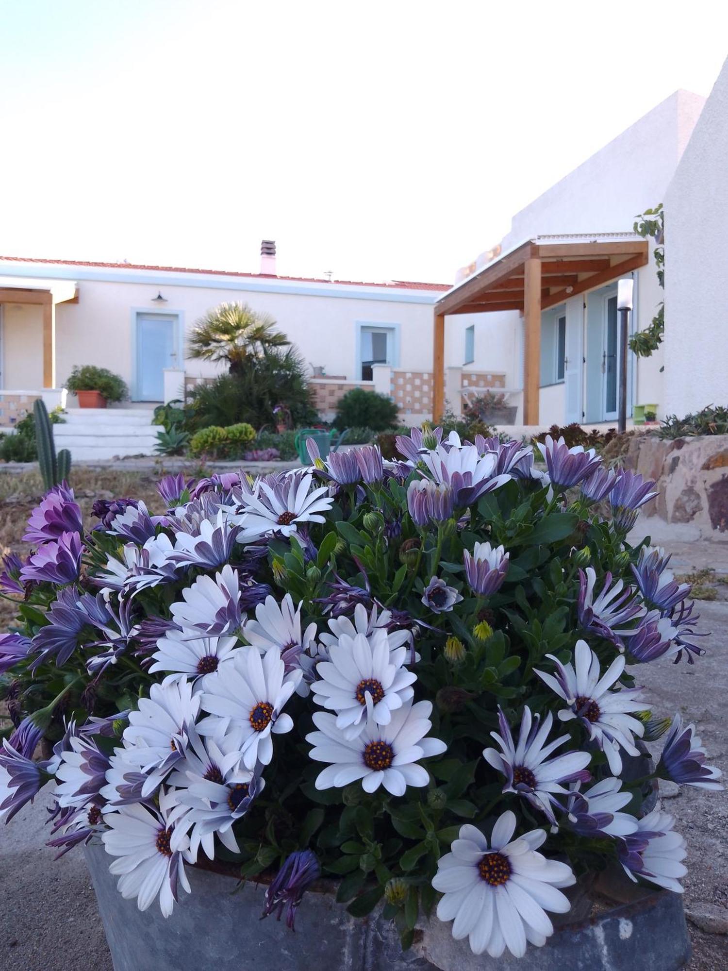 Lispusada Agriturismo Adults Only Biancareddu 外观 照片