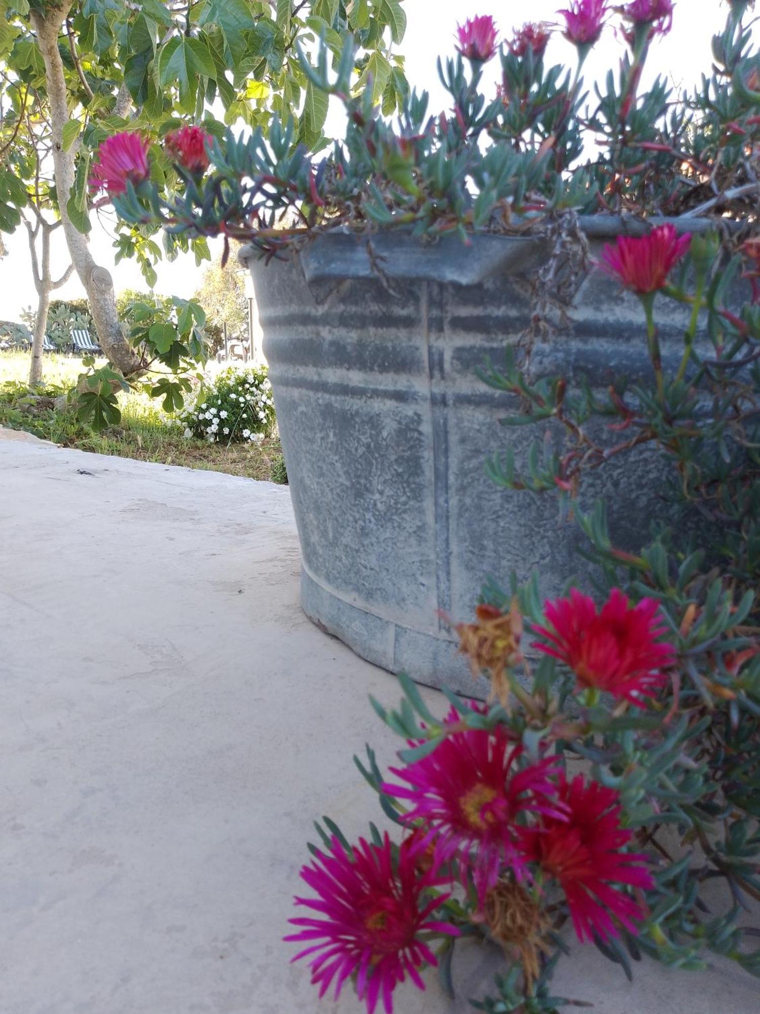 Lispusada Agriturismo Adults Only Biancareddu 外观 照片