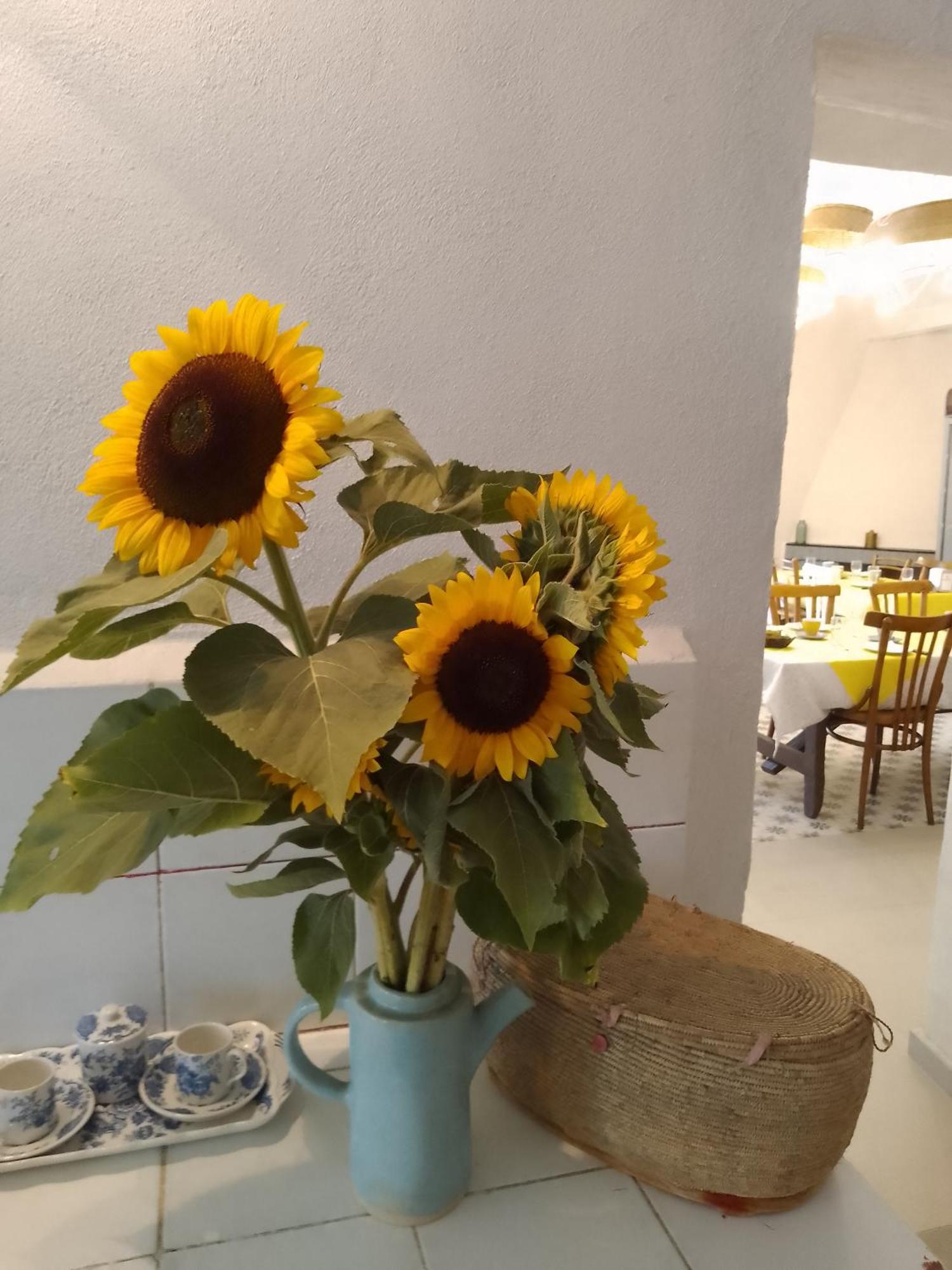 Lispusada Agriturismo Adults Only Biancareddu 外观 照片