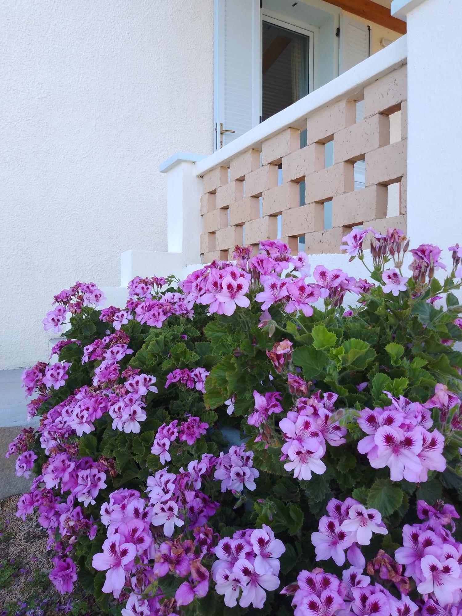 Lispusada Agriturismo Adults Only Biancareddu 外观 照片
