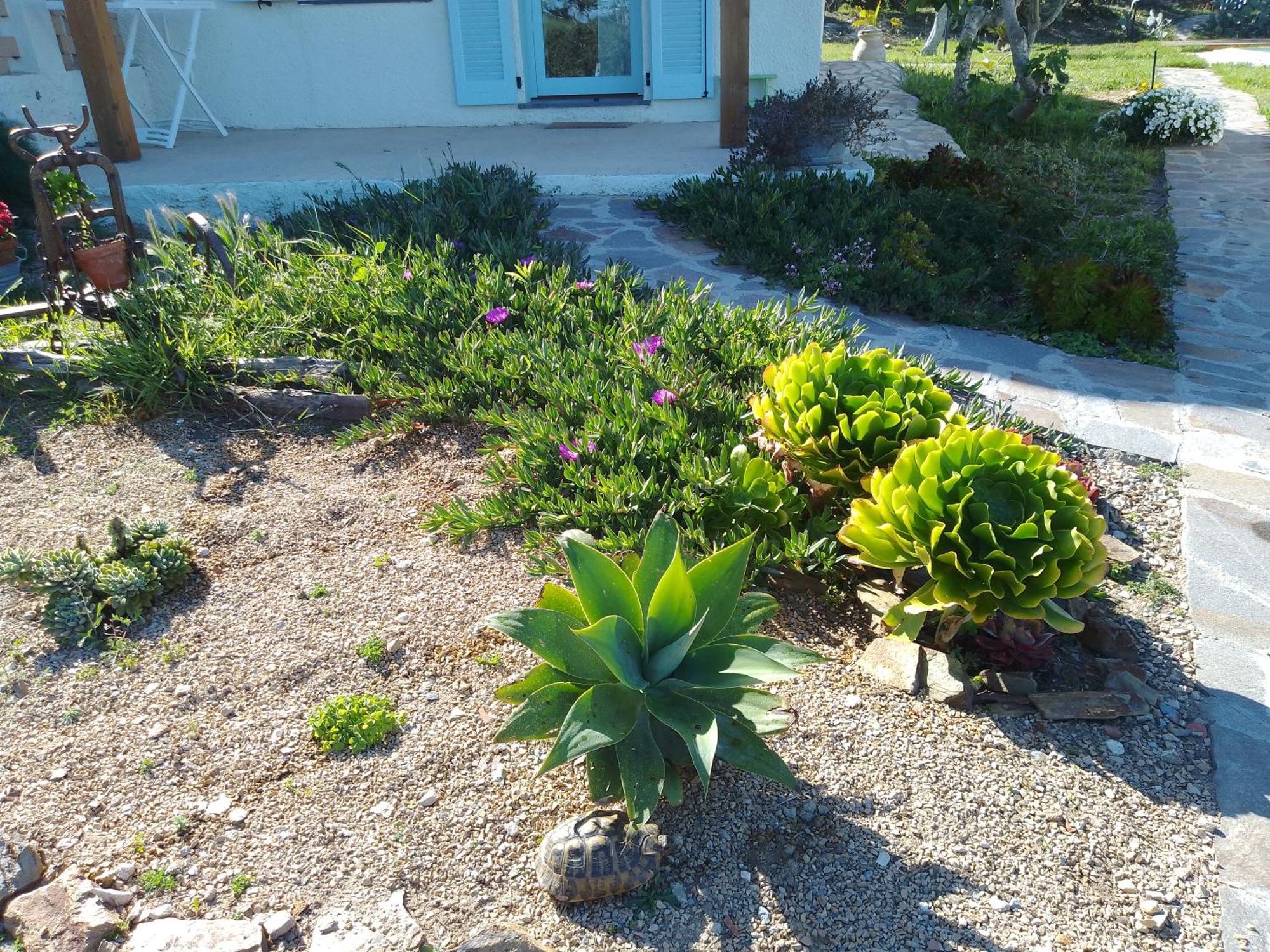Lispusada Agriturismo Adults Only Biancareddu 外观 照片