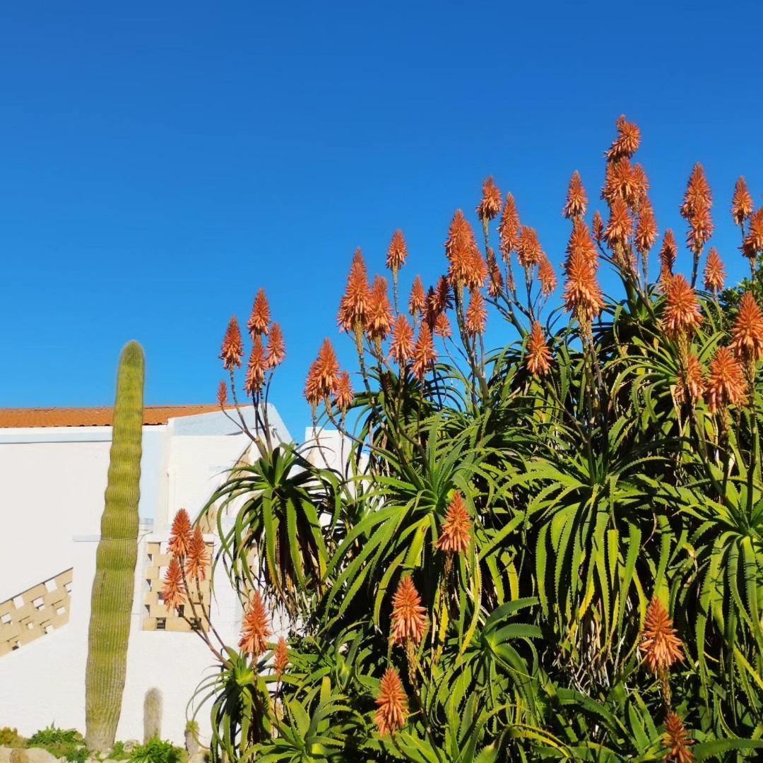 Lispusada Agriturismo Adults Only Biancareddu 外观 照片